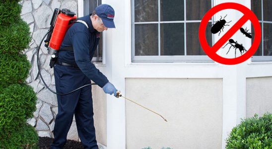 Bursa Bit İlaçlama böcek ilaçlama ve haşere kontrolü — ilaclama-tr.com